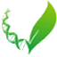 pixabay