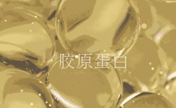 小分子胶原蛋白肽有哪些功效,北方基因
