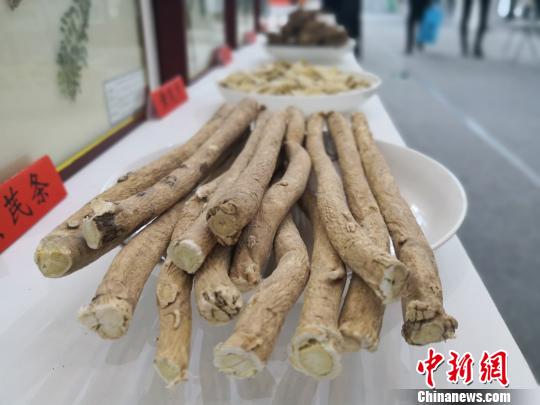 图为甘肃定西出产的中药材展品。(资料图) 李亚龙 摄